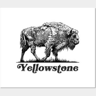 Yellowstone Bison Posters and Art